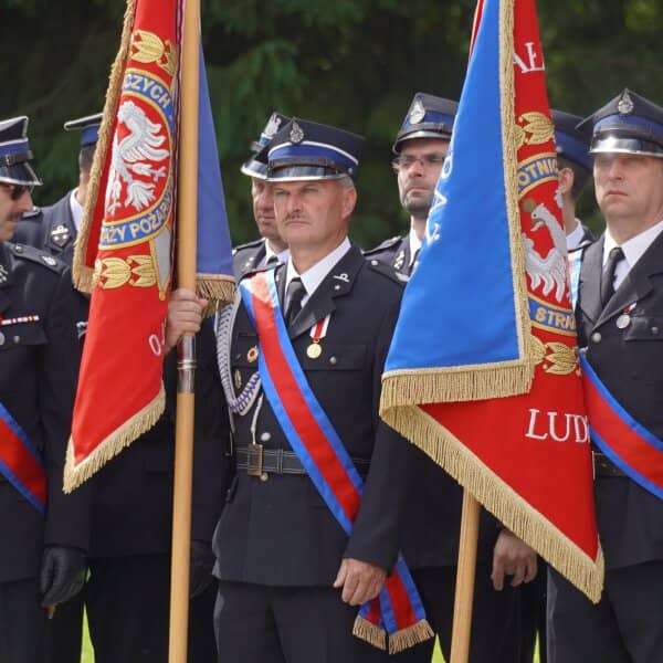 Zdjęcie