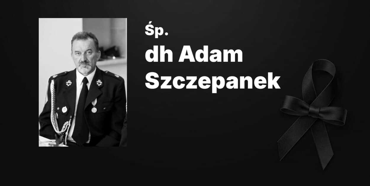 Zdjęcie