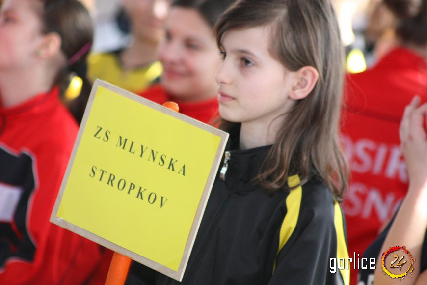 Siatkarski memoriał