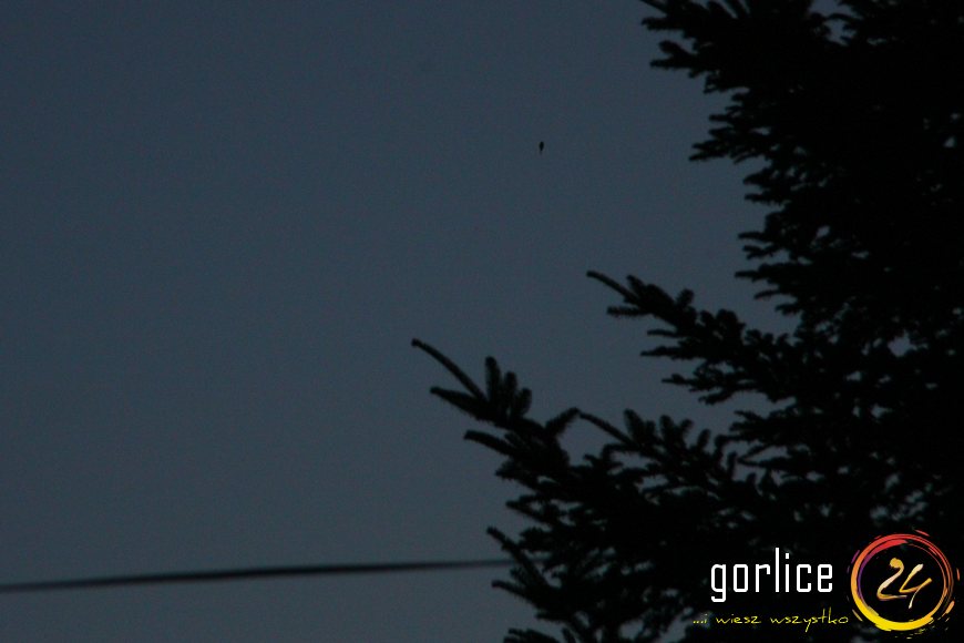 Gorlice polskim Phoenix?