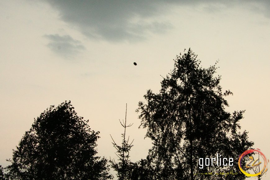 Gorlice polskim Phoenix?