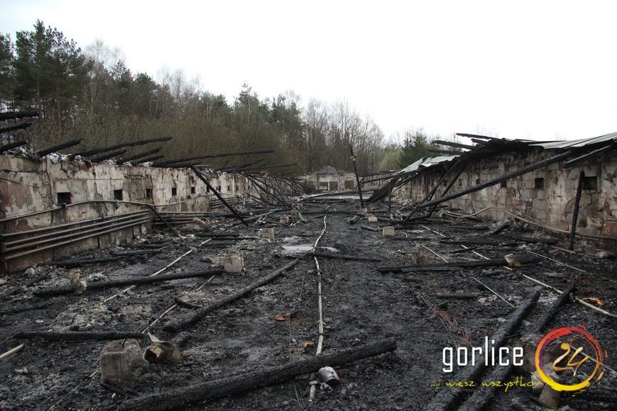 20 tysięcy kurcząt poszło z dymem