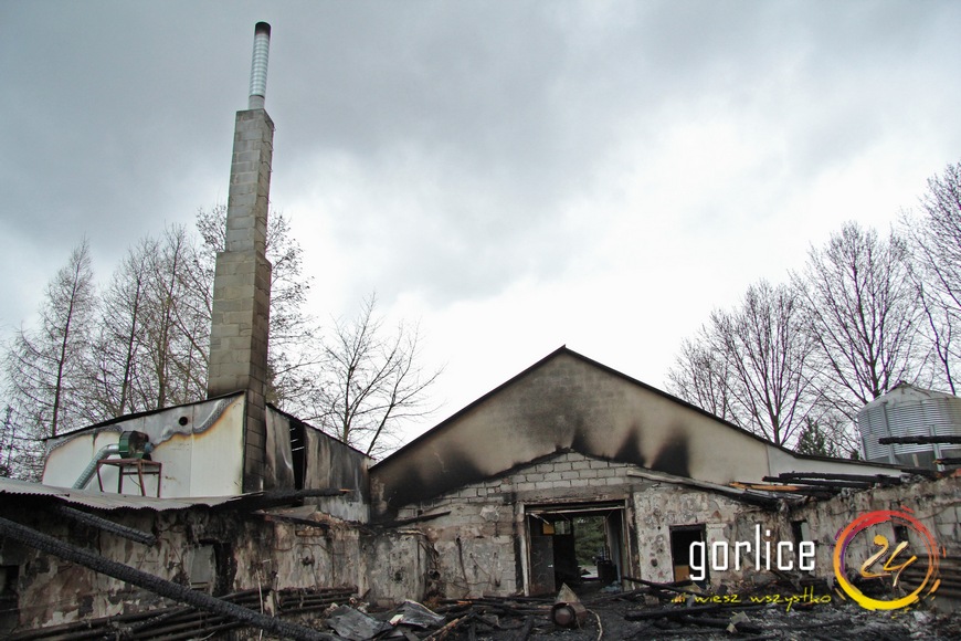 20 tysięcy kurcząt poszło z dymem