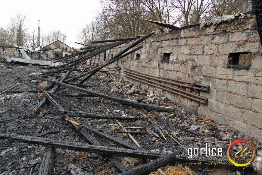 20 tysięcy kurcząt poszło z dymem