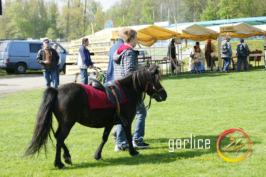 Baciary 200% normy (TV Gorlice24)