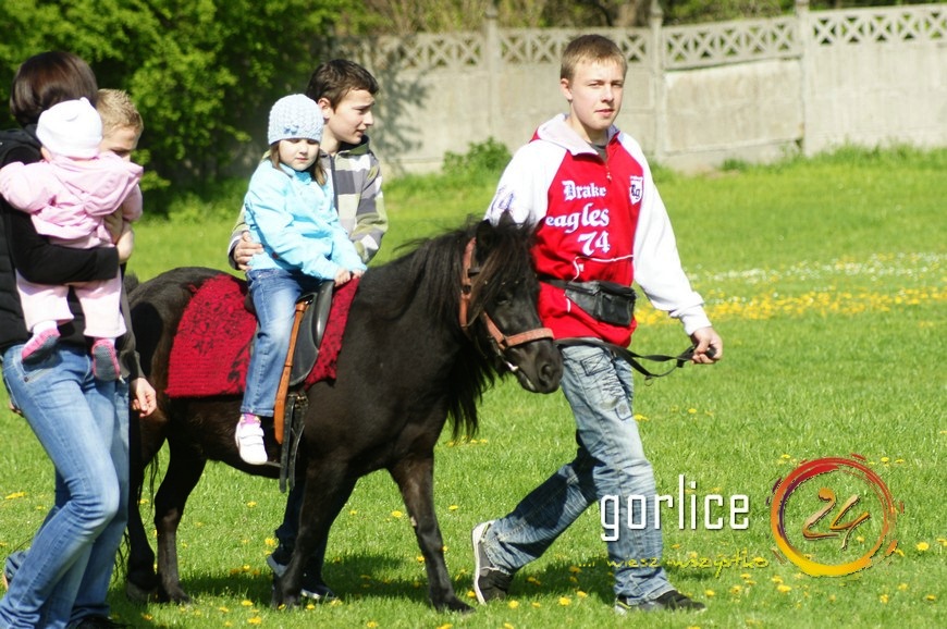Baciary 200% normy (TV Gorlice24)