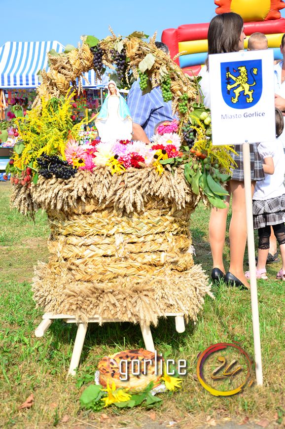 Wielbłąd symbolem? Dożynek Powiatowych 2011