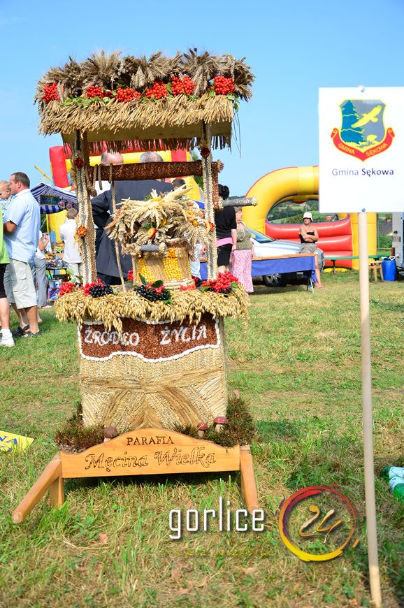Wielbłąd symbolem? Dożynek Powiatowych 2011