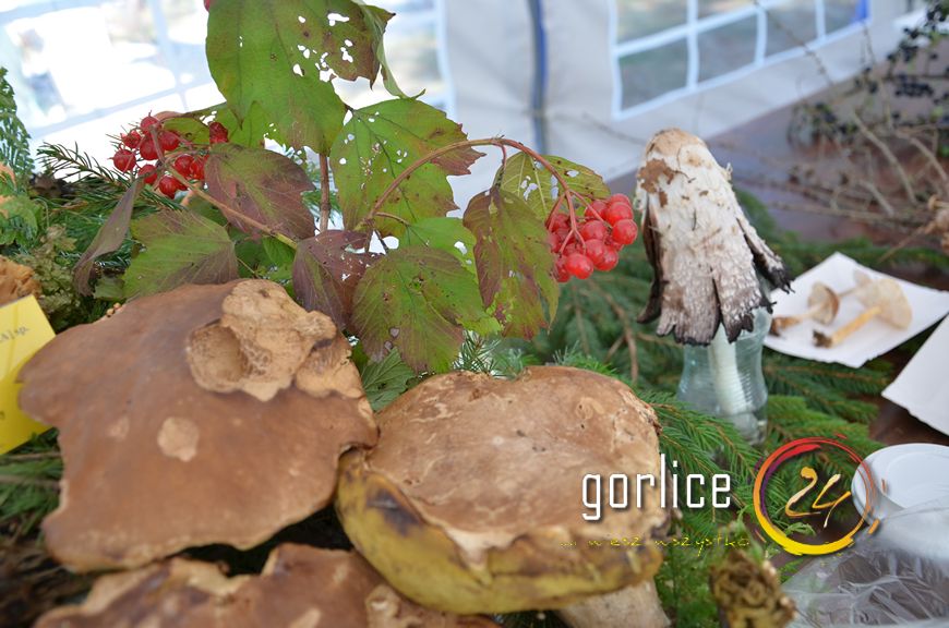 Święto bez udziału głównego bohatera (TV GORLICE24)
