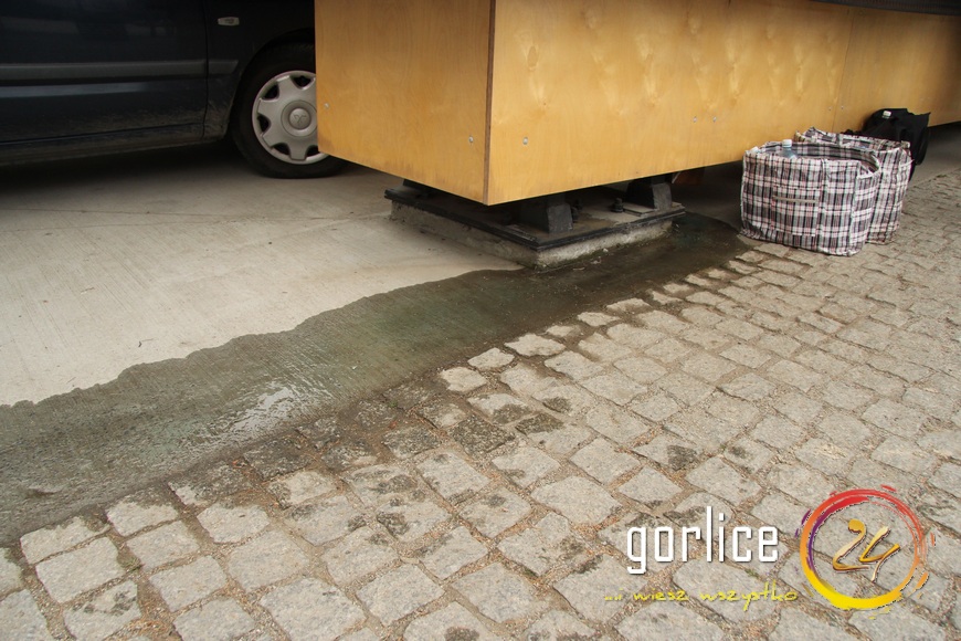 Tereskę odwrócą, a lipy zostawią i podświetlą