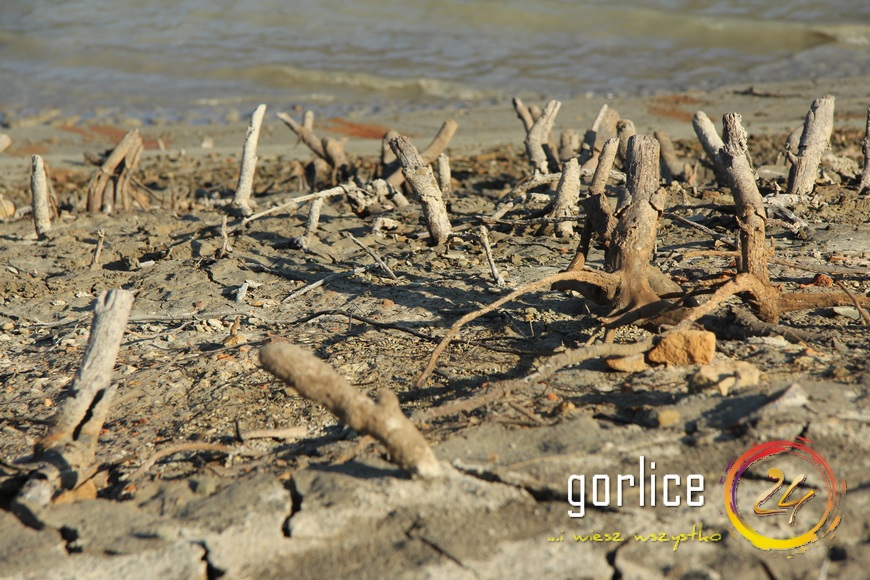 Susza doskwiera ? czy miastu grozi brak wody? (TV GORLICE24)