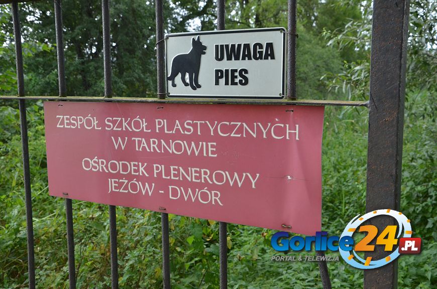 I ruszyli na Grunwald