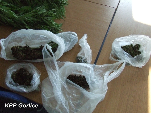 Narkotykowy dealer zatrzymany