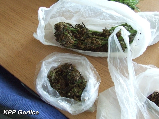 Narkotykowy dealer zatrzymany