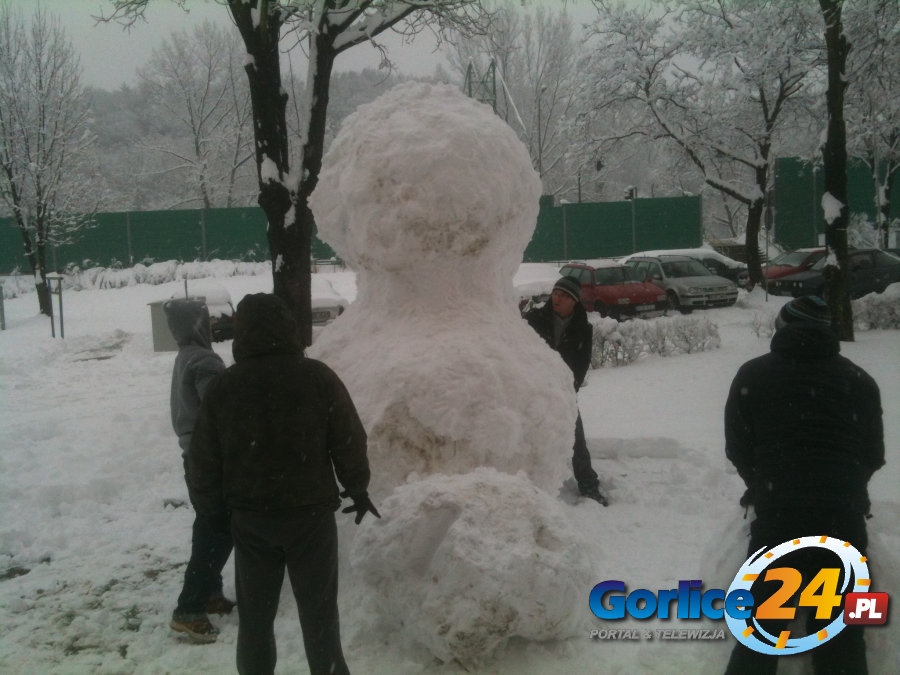 Nowy 