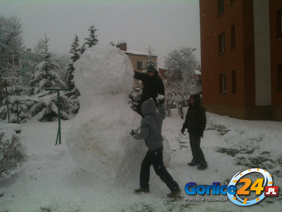 Nowy 