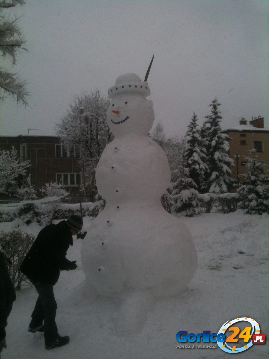 Nowy 