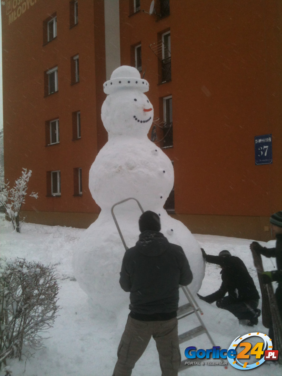 Nowy 