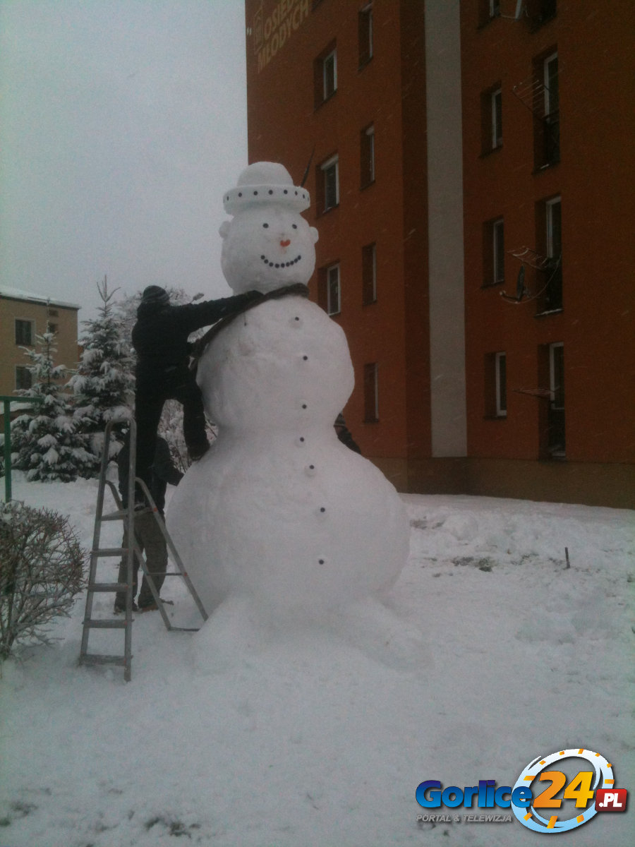 Nowy 