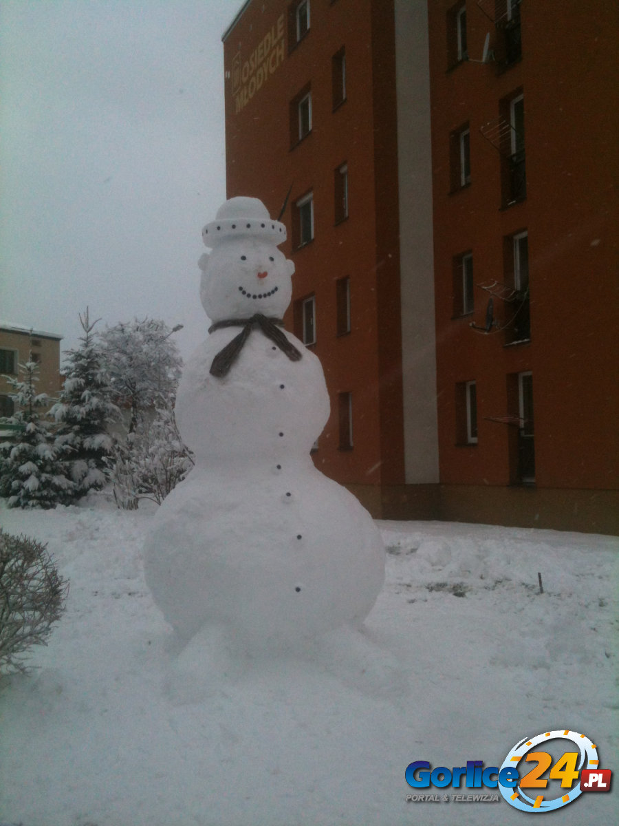 Nowy 