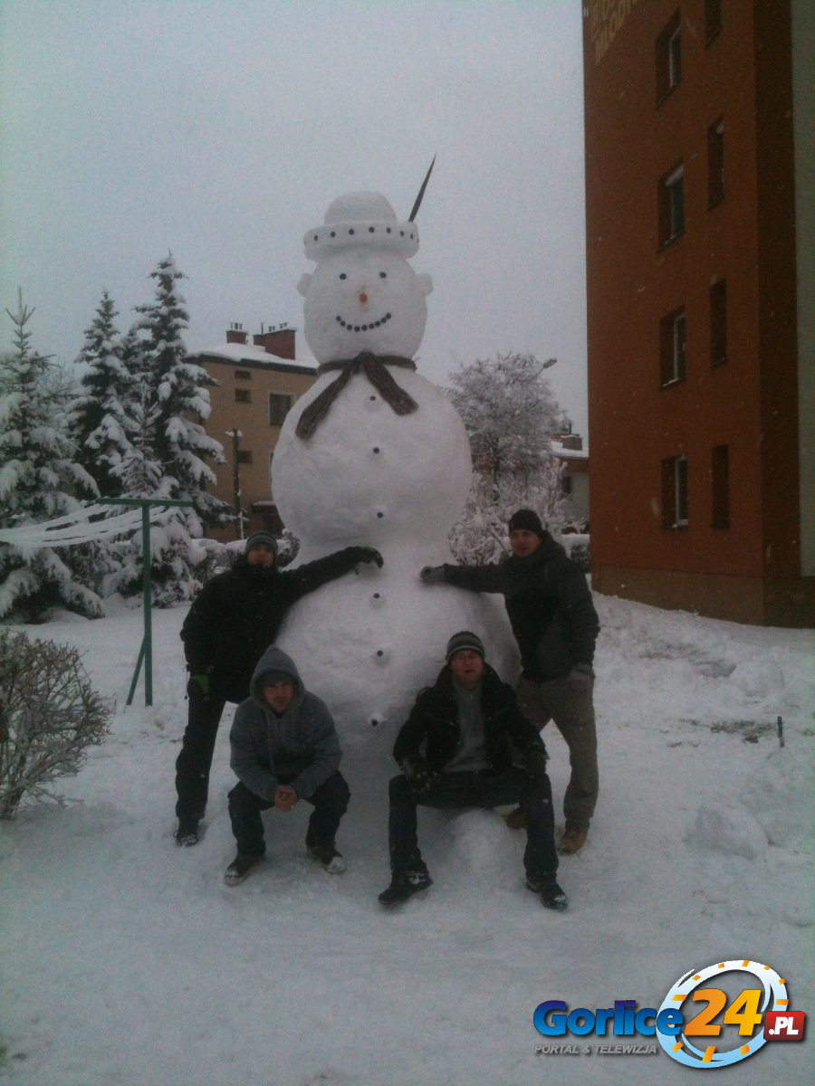 Nowy 