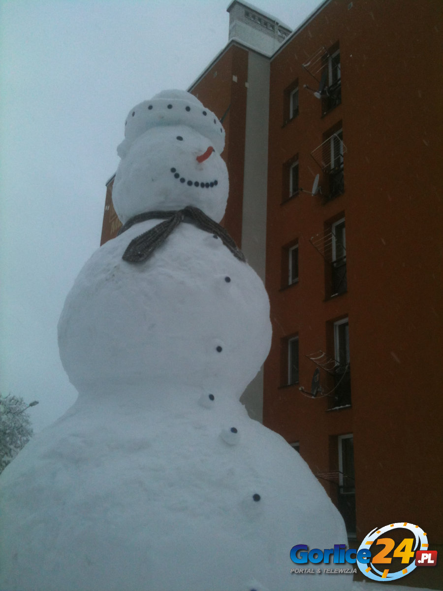Nowy 