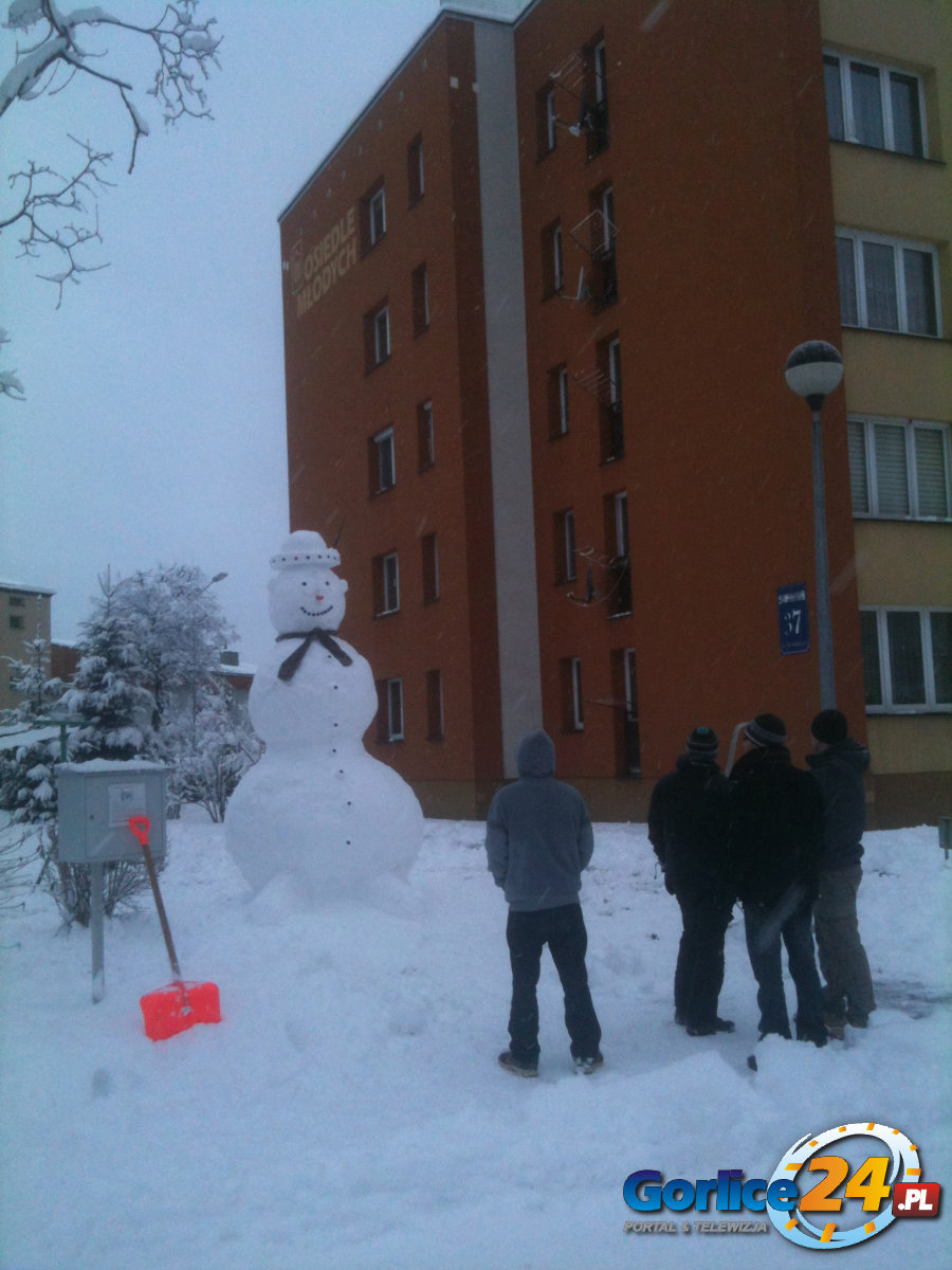 Nowy 