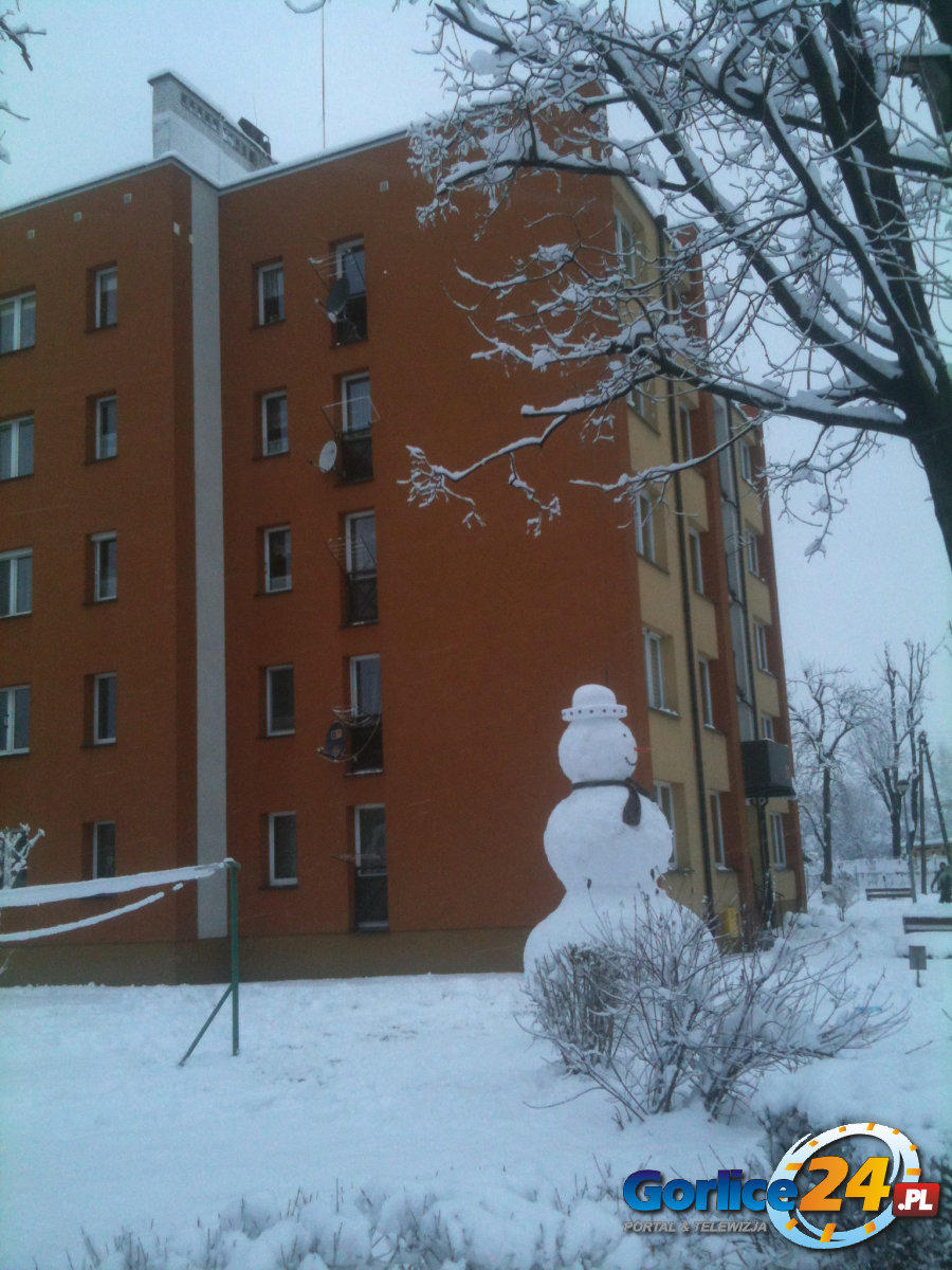 Nowy 