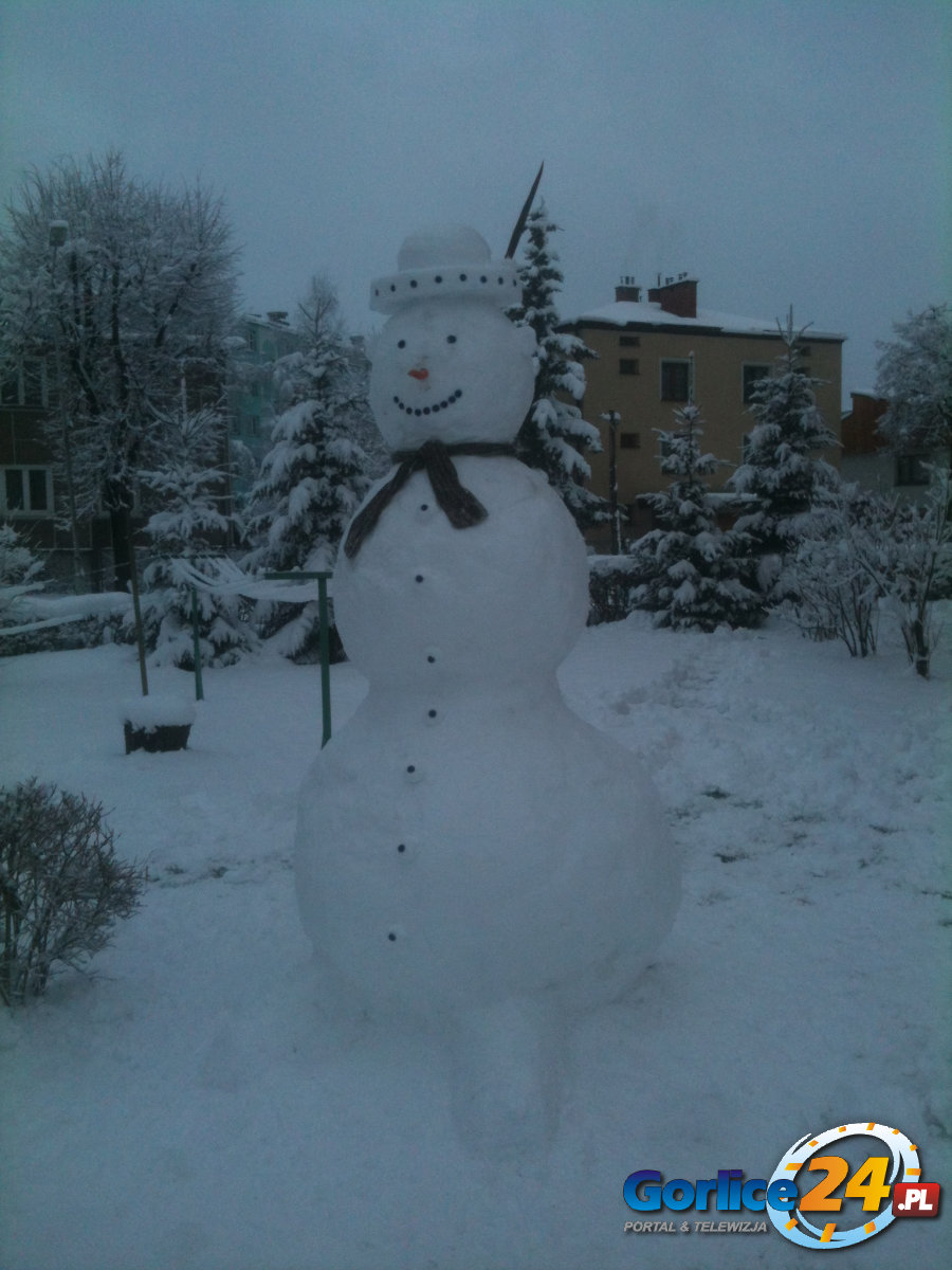 Nowy 