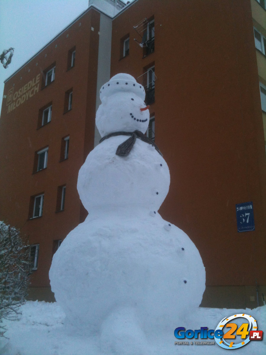 Nowy 