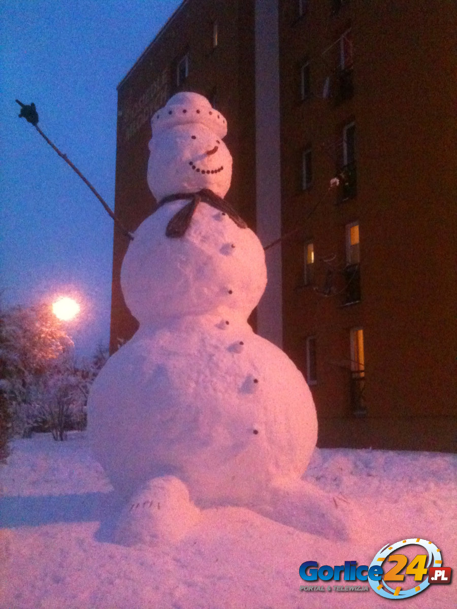 Nowy 