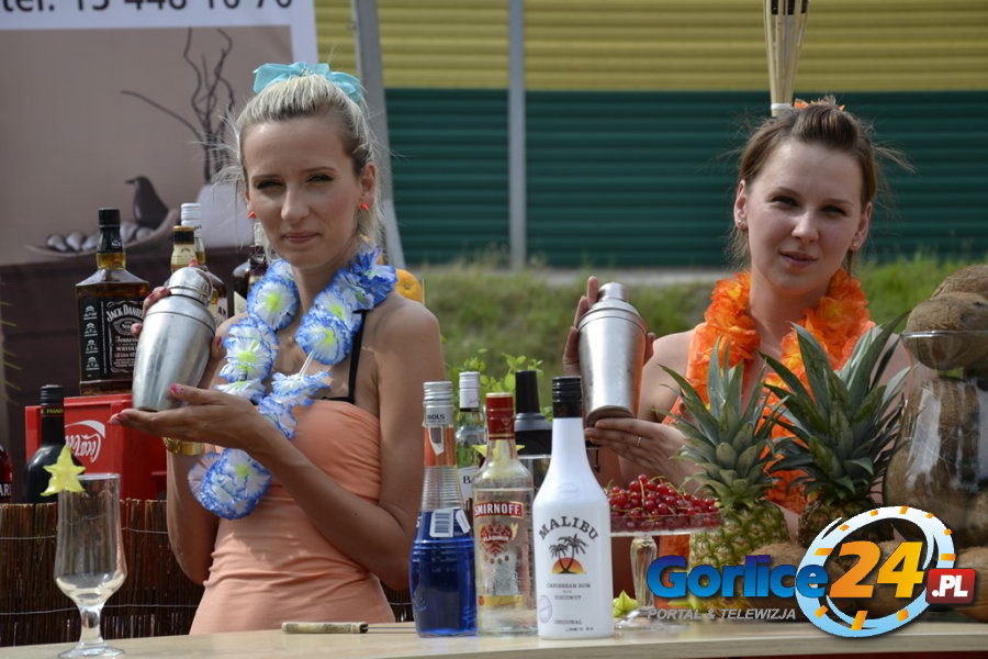 Plaża Party 2013