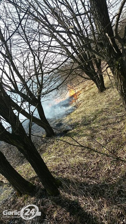 133 pożary traw od początku roku