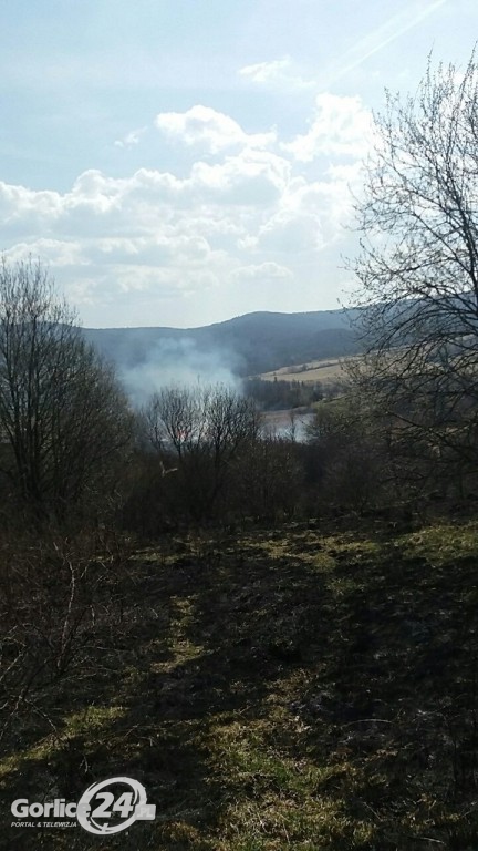 133 pożary traw od początku roku