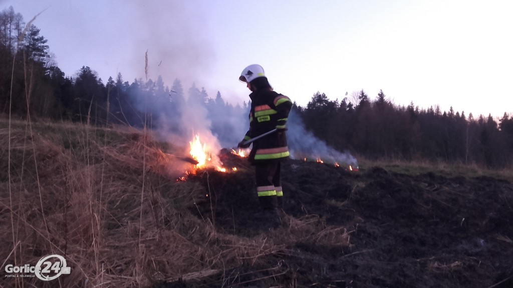 133 pożary traw od początku roku