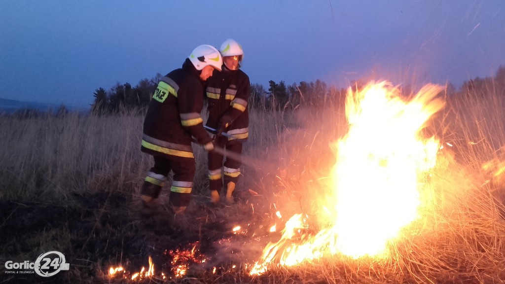 133 pożary traw od początku roku