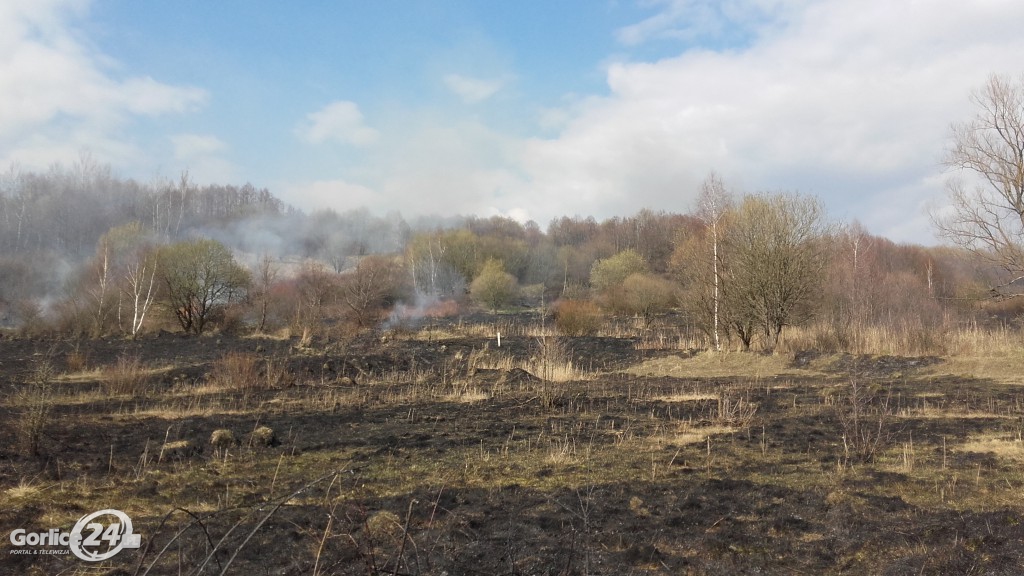 133 pożary traw od początku roku