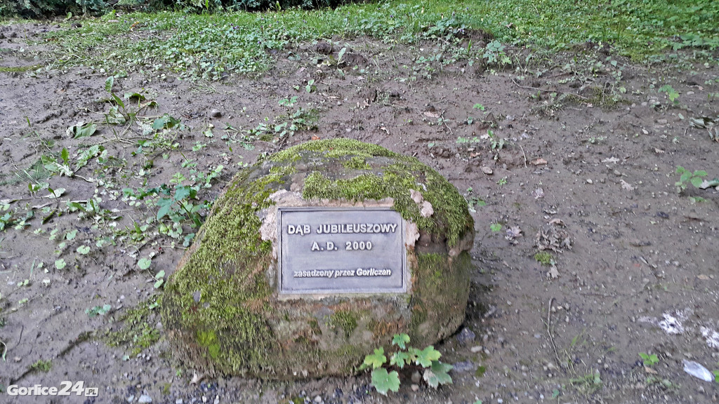 Dobiega końca remont Parku Miejskiego