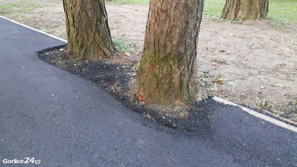 Dobiega końca remont Parku Miejskiego