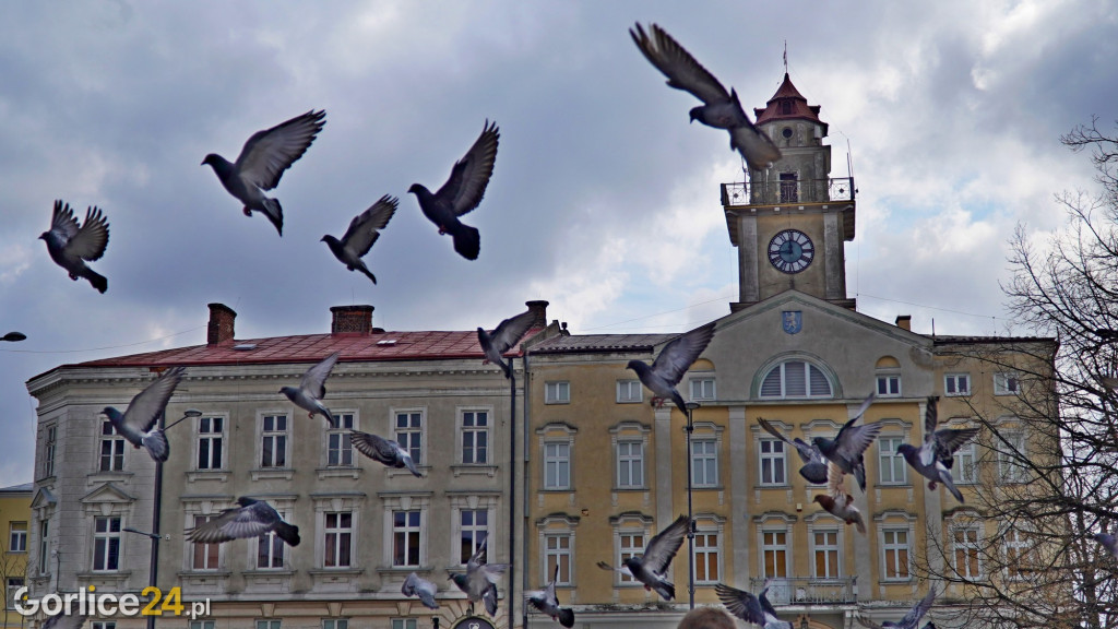 Gorlicki Kiermasz Wielkanocny - niedziela