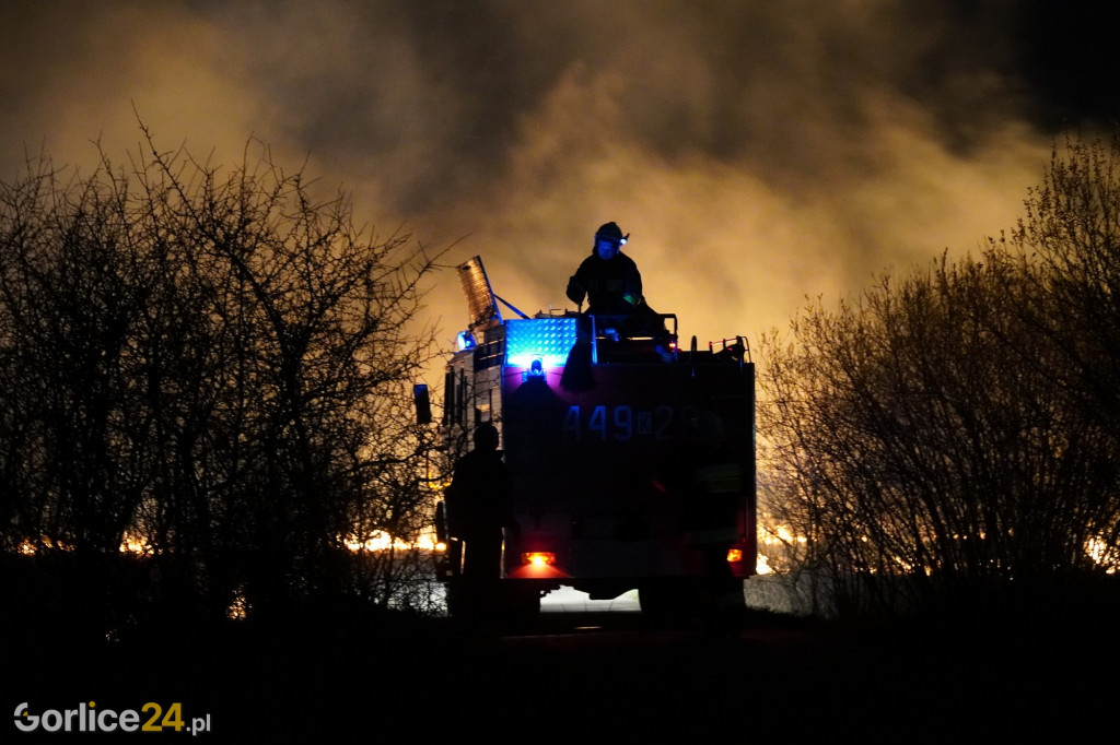 Pożary traw - Kryg 14.04.2022