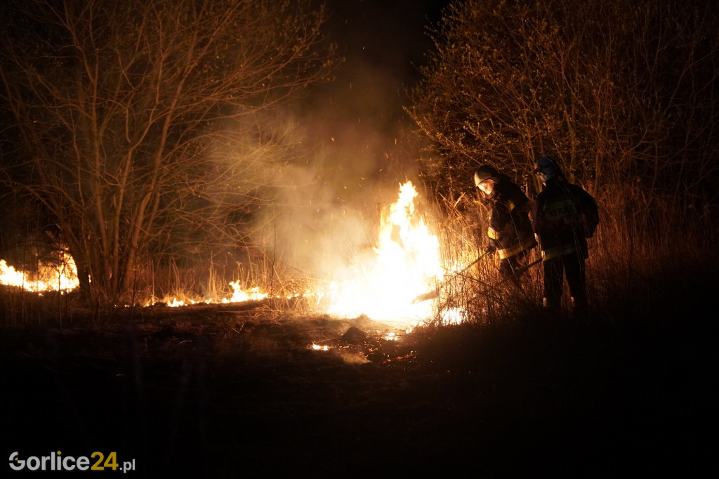 Pożary traw - Kryg 14.04.2022