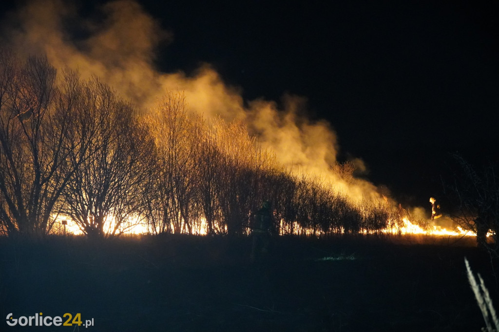 Pożary traw - Kryg 14.04.2022