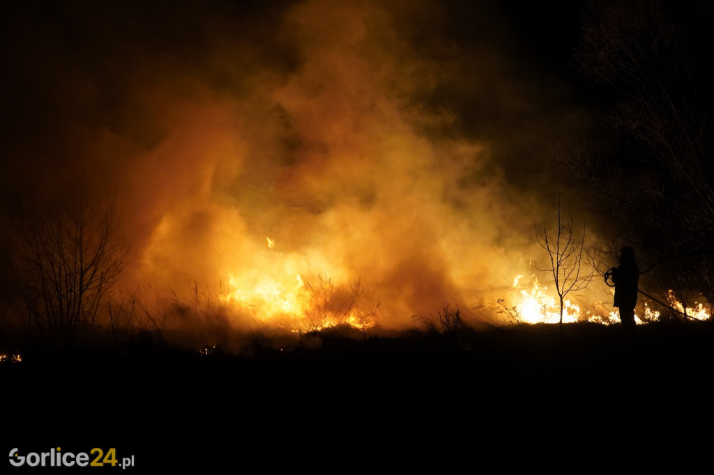 Pożary traw - Kryg 14.04.2022