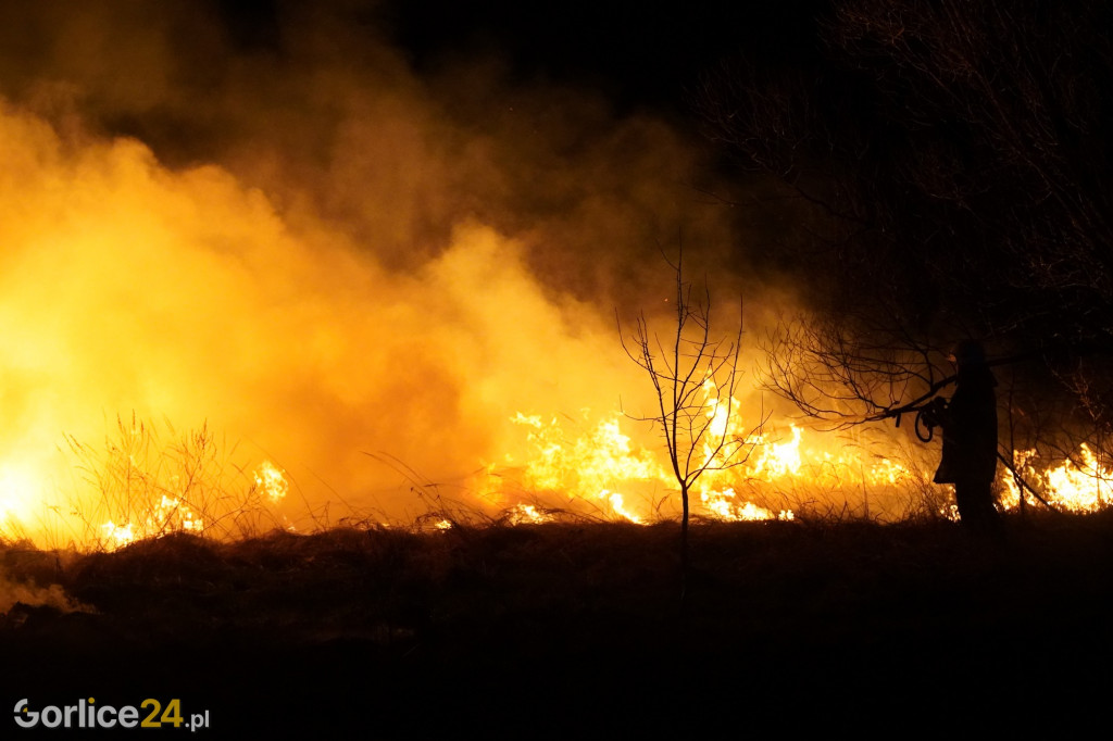 Pożary traw - Kryg 14.04.2022