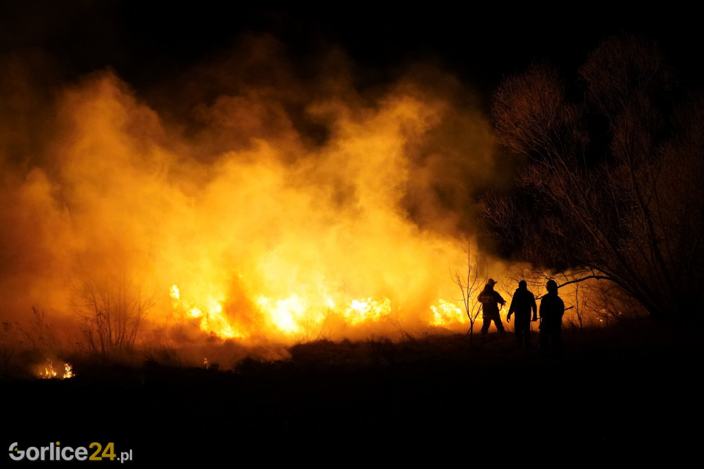 Pożary traw - Kryg 14.04.2022