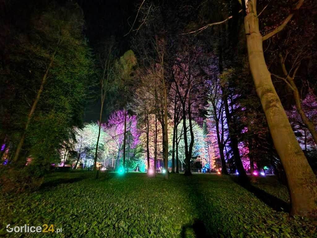 Festiwal Światła w Parku Miejskim - 02.05.2022