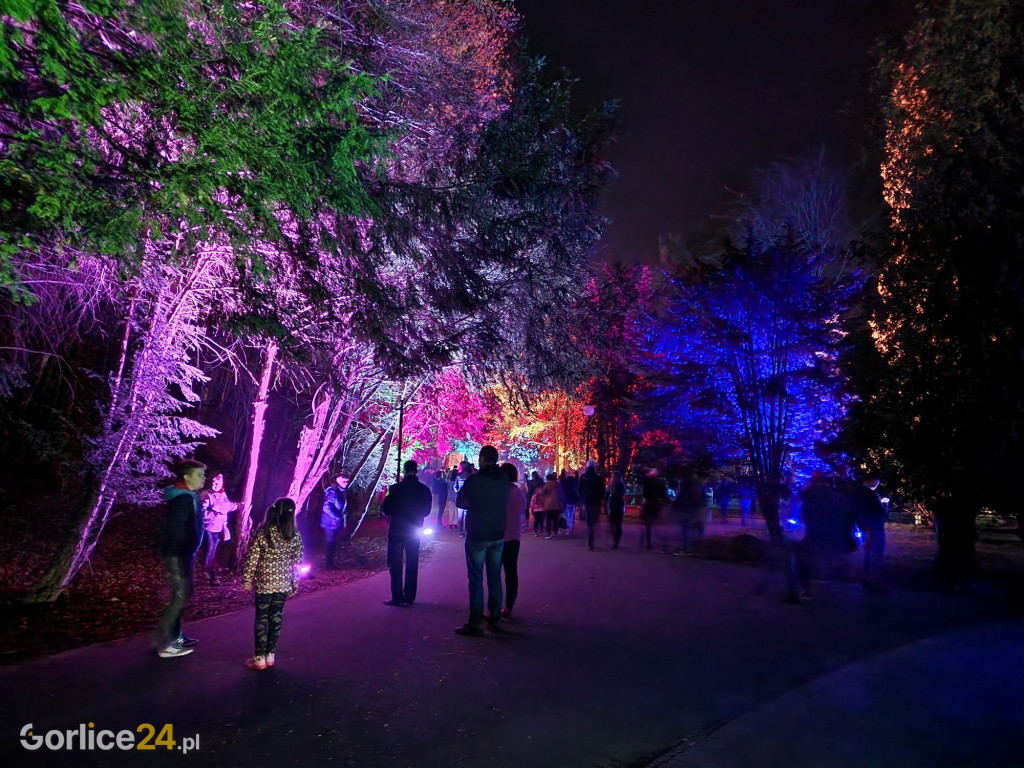 Festiwal Światła w Parku Miejskim - 02.05.2022