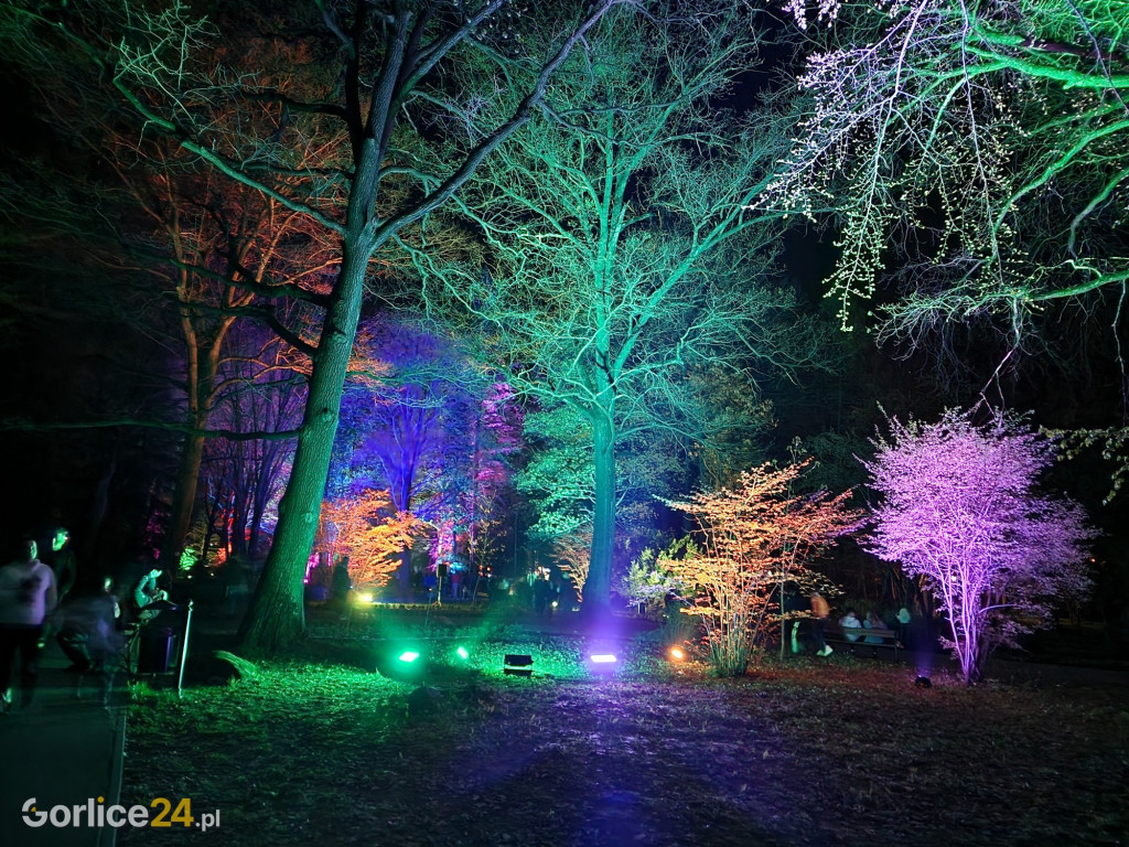 Festiwal Światła w Parku Miejskim - 02.05.2022