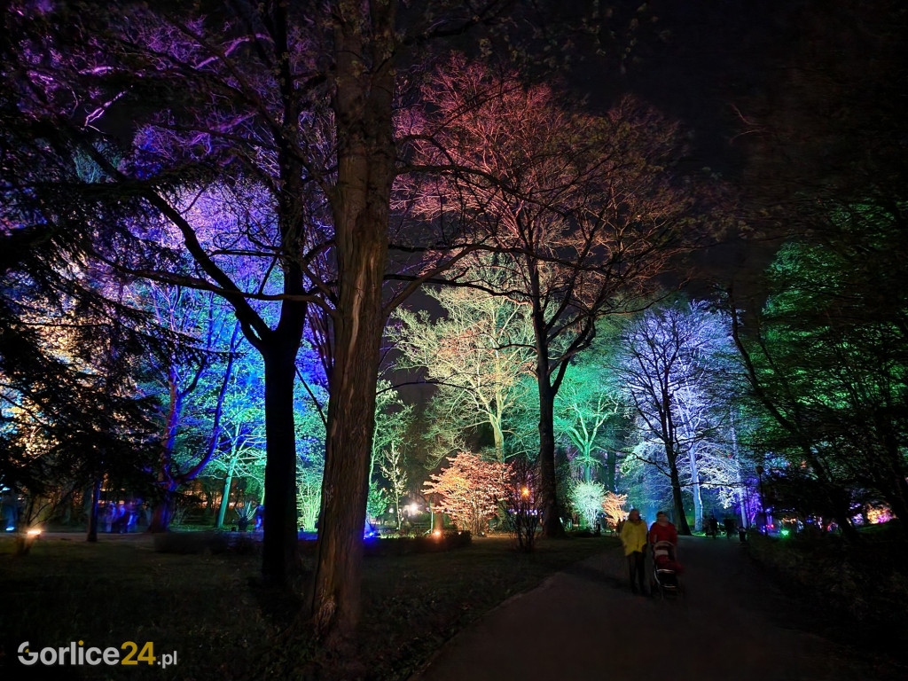 Festiwal Światła w Parku Miejskim - 02.05.2022